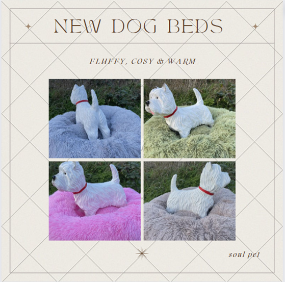 NEW IN fluffy donut dog beds!